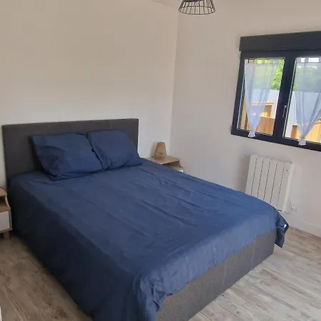 Chalet Dağ evi Le Teich